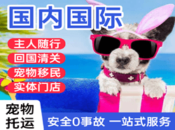 新郑航空快递国际宠物托运 【国